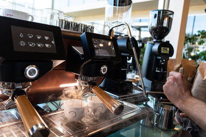 Kaffeewunder® No. 01 / French Roast - 1,000g